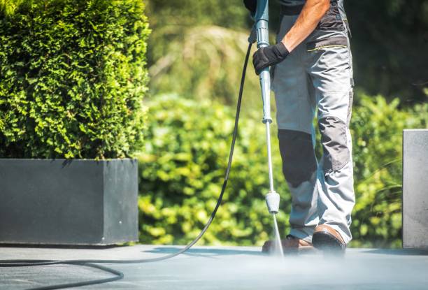 Animal Enclosure Cleaning in Texas City, TX