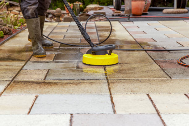 Best Gutter Cleaning  in Texas City, TX