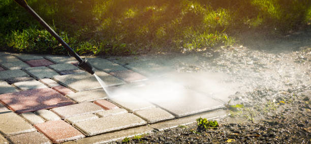 Best Animal Enclosure Cleaning  in Texas City, TX