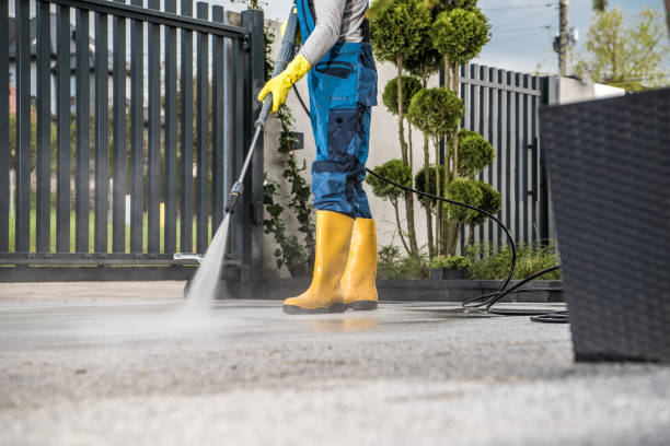 Best Animal Enclosure Cleaning  in Texas City, TX