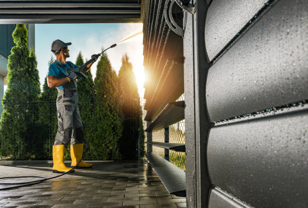 Best Solar Panel Cleaning  in Texas City, TX