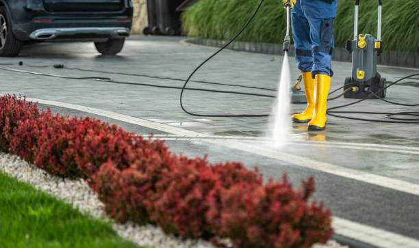 Best Fence Cleaning  in Texas City, TX